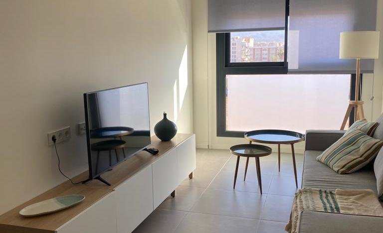 apartment from day apartment for rent for companies in Málaga 